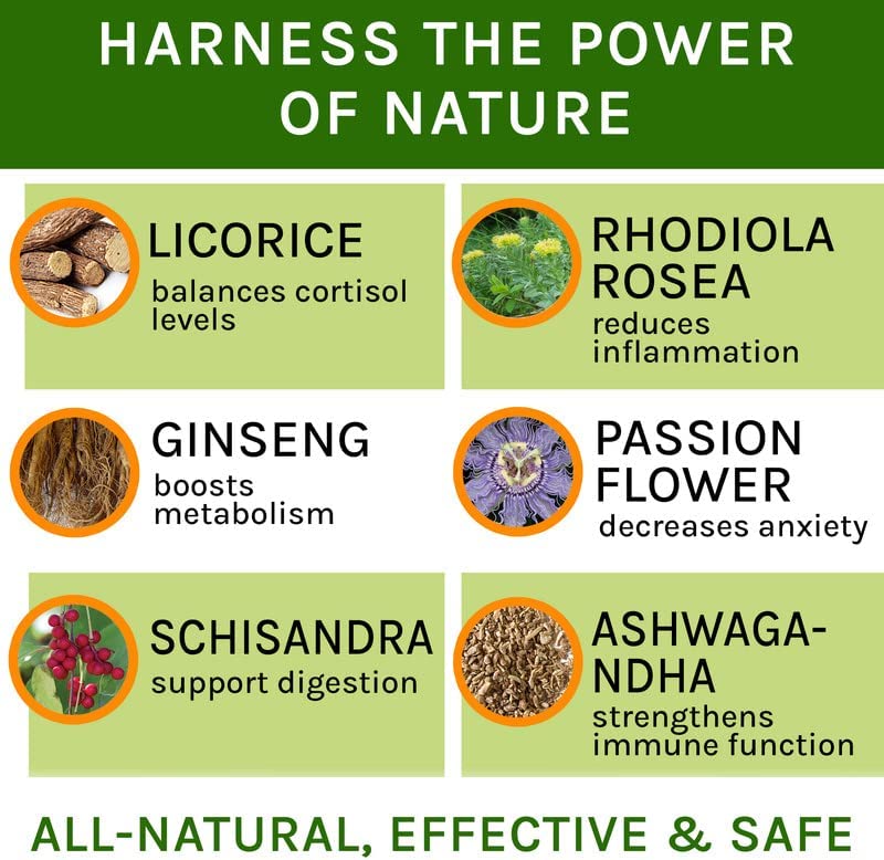 Cortisol Balance for Dogs and Cats