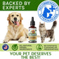 Cortisol Balance for Dogs and Cats