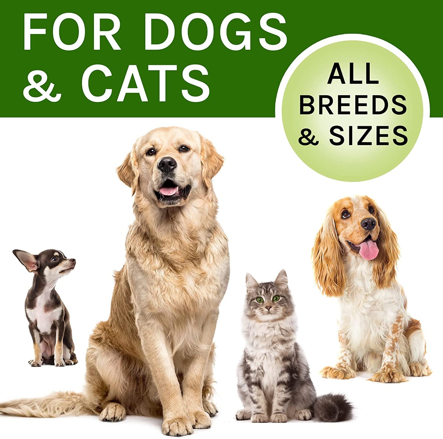 Kennel Cough Herbal Drops for Dogs & Cats