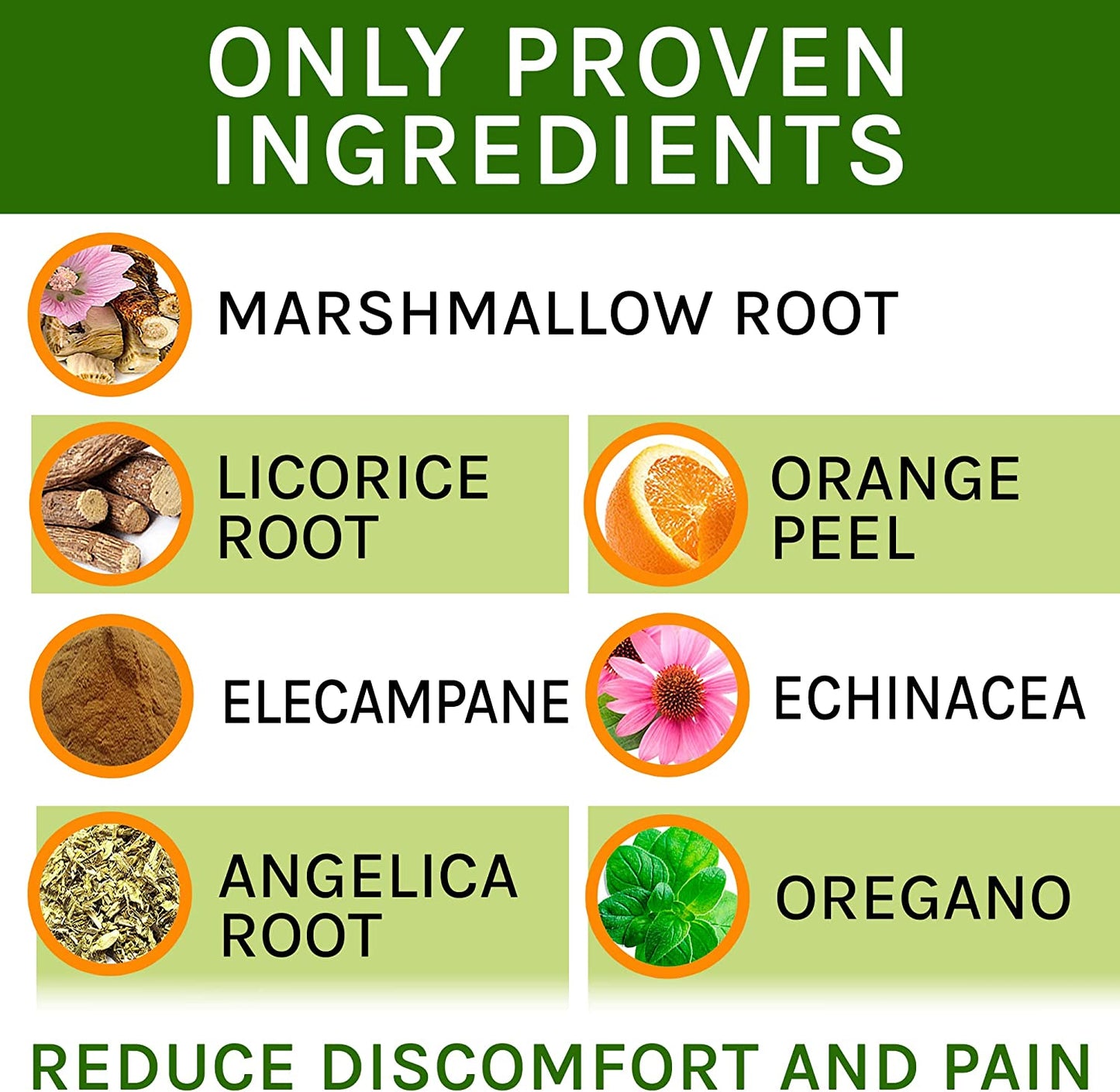 Kennel Cough Herbal Drops for Dogs & Cats