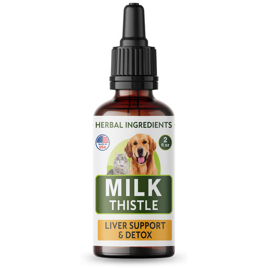 Milk Thistle for Dogs & Cats
